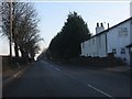 Houses by the Knutsford Road (A50)