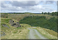 SN7951 : Forestry road descending towards Soar-y-Mynydd, Ceredigion by Roger  Kidd