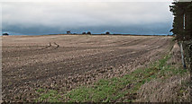 NZ0352 : Field rising towards the A68 by Trevor Littlewood