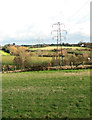 Electricity pylons north of Cherryground, Hintlesham