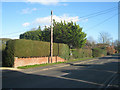 SU6050 : Neat hedge - Pack Lane by Mr Ignavy