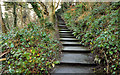 J4078 : Steps, Glenlyon, Holywood (3) by Albert Bridge
