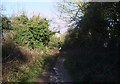 Bridleway northwest out of Aldbourne