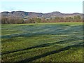 Frosty pasture near Craigantaggart