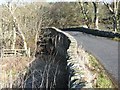 Bridge over Lunan Burn