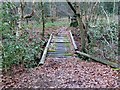 Footbridge over Coumes Brook