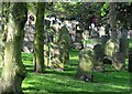 Nottingham General Cemetery in Spring