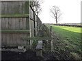 A footpath at Birkby Grange