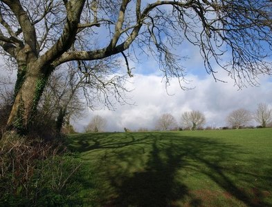 File:A glimpse of Stanley Pool - geograph.org.uk - 49706.jpg