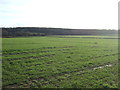 Farmland off Long Lane