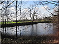 Pond adjacent to Manor Farm