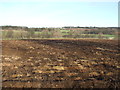 Ploughed field off Cattle Lane