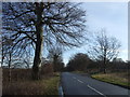 Cattle Lane towards Aberford