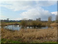 Blandford St Mary, pond