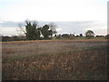 View towards Highwood Farm