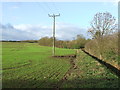 Footpath And Green Field