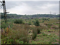 Site of former Meaford Power Stations, Staffordshire