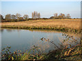 TM3643 : View across drainage channel by Hollesley pumping station by Evelyn Simak