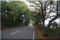 A291, Canterbury Rd