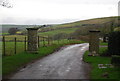 Gate posts, Littlebredy