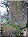 Bench mark on broken gatepost, Gamblesby to Melmerby road