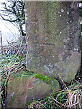 NY6138 : Bench mark on broken gatepost, Gamblesby to Melmerby road by Karl and Ali