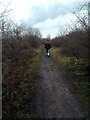 Footpath on disused railway line.