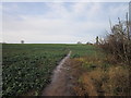 Walking west towards Carr Farm