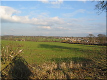 SP2981 : Farmland near Allesley by E Gammie