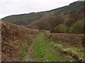 Llwybr Ceffyl Clynsaer / Clynsaer bridleway