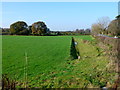 Fields at Canford Park