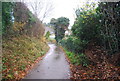 Approaching Workhouse Lane