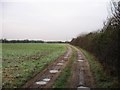 Ham Lane from Bramble Farm