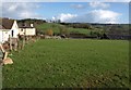 Field at Tower View Farm