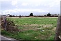 Field of grass near Shoreham Airport