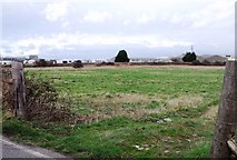 TQ2004 : Field of grass near Shoreham Airport by nick macneill