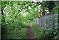 Path by the River Medway