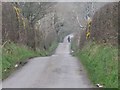 Horserider on the undulating Comiamstown Road