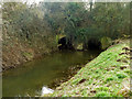 SU9203 : Canal aqueduct over Aldingbourne Rife, north side by Robin Webster