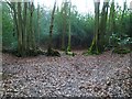 Parish boundary on Marley Common (2)