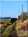 Track to Skate and Drumneil