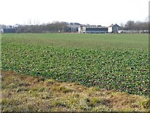 SE4907 : Unfenced crop field, west of Street Lane by Christine Johnstone