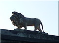 SY9398 : Lion on Lion Gate by Nigel Mykura