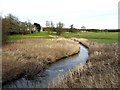 River Pont south-west of Matfen Hall