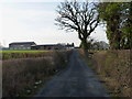 Up the lane towards Moat Hall