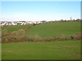 Field north of the A390 at Trevorva