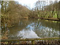 Pond between Steanbridge Court and  Steanbridge Mill, Slad