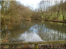 SO8707 : Pond between Steanbridge Court and  Steanbridge Mill, Slad by Jaggery