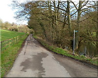 SO8707 : Slad: Steanbridge Lane passes a pond and a restricted byway by Jaggery