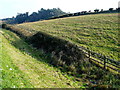 Fields at Tolpuddle Ball